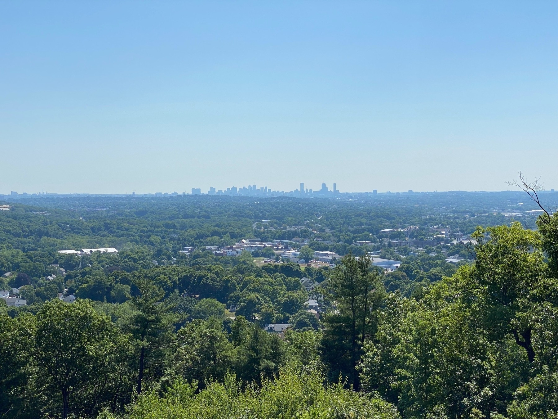 View of Waltham from Prospect Hill with the Boston skyline in the distance.