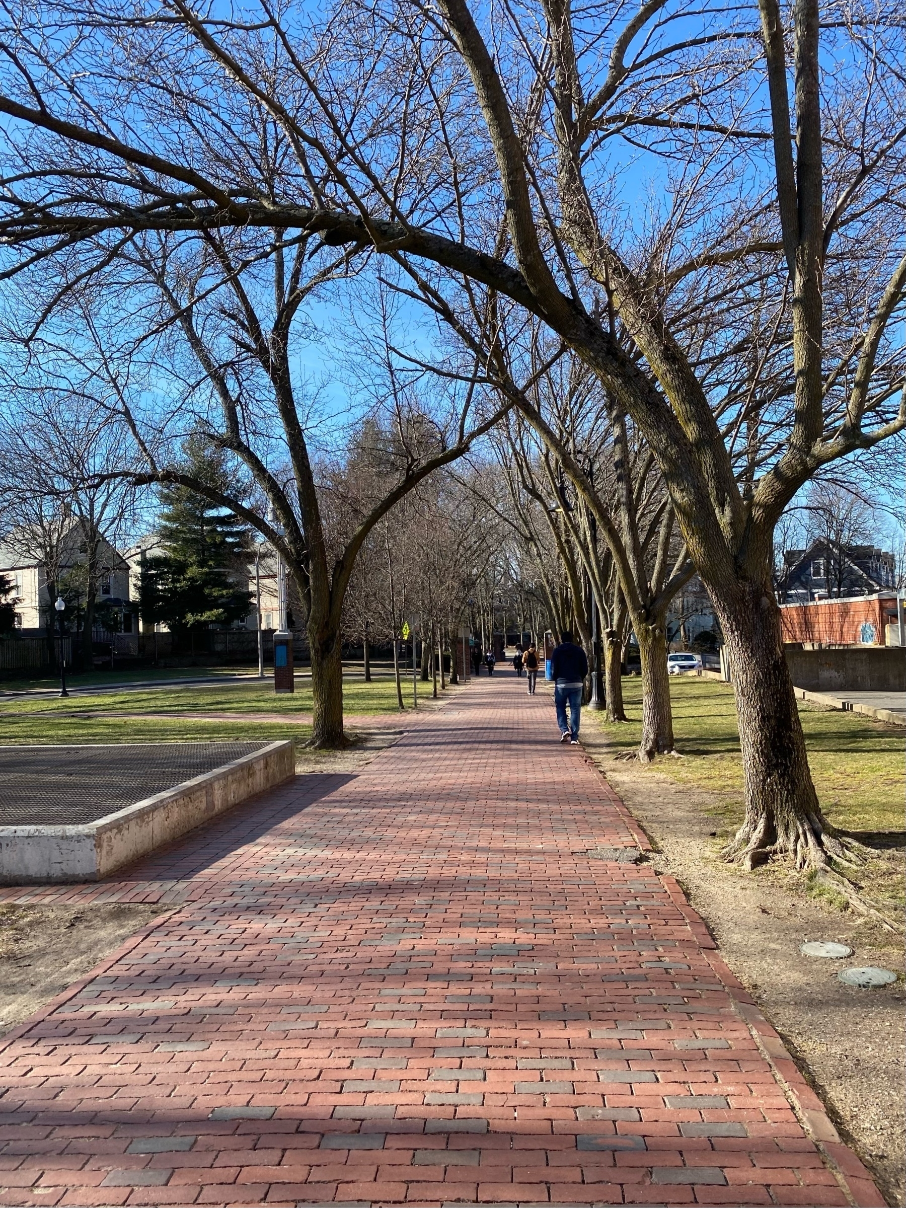 Sunlit brick path running straight ahead, with lawns on either side and the bare branches of trees against a blue sky above. 